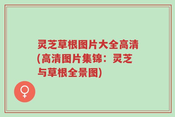 灵芝草根图片大全高清(高清图片集锦:灵芝与草根全景图)-第1张图片-超越 灵芝草根图片大全高清(高清图片集锦:灵芝与草根全景图)-第1张图片-超越