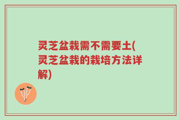 灵芝盆栽需不需要土(灵芝盆栽的栽培方法详解)-第1张图片-超越 灵芝盆栽需不需要土(灵芝盆栽的栽培方法详解)-第1张图片-超越