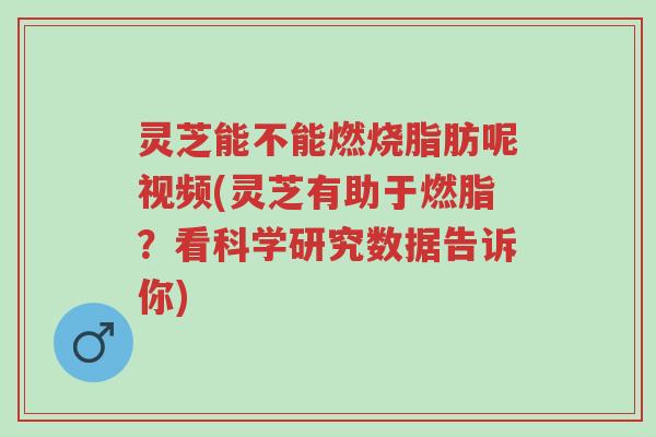 灵芝能不能燃烧脂肪呢视频(灵芝有助于燃脂？看科学研究数据告诉你)-第1张图片-超越