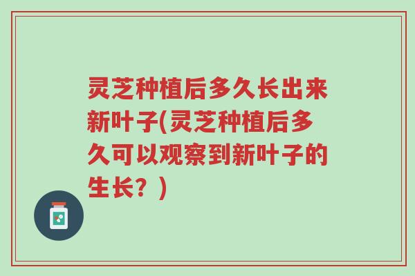 灵芝种植后多久长出来新叶子(灵芝种植后多久可以观察到新叶子的生长?)-第1张图片-超越 灵芝种植后多久长出来新叶子(灵芝种植后多久可以观察到新叶子的生长?)-第1张图片-超越