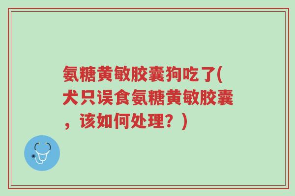 氨糖黄敏胶囊狗吃了(犬只误食氨糖黄敏胶囊,该如何处理?)-第1张图片-超越 氨糖黄敏胶囊狗吃了(犬只误食氨糖黄敏胶囊,该如何处理?)-第1张图片-超越