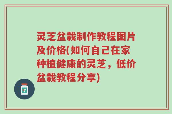 灵芝盆栽制作教程图片及价格(如何自己在家种植健康的灵芝,低价盆栽教程分享)-第1张图片-超越 灵芝盆栽制作教程图片及价格(如何自己在家种植健康的灵芝,低价盆栽教程分享)-第1张图片-超越