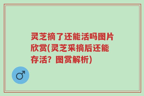 灵芝摘了还能活吗图片欣赏(灵芝采摘后还能存活?图赏解析)-第1张图片-超越 灵芝摘了还能活吗图片欣赏(灵芝采摘后还能存活?图赏解析)-第1张图片-超越