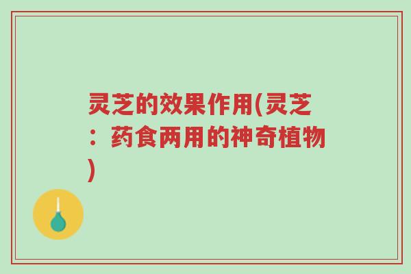 灵芝的效果作用(灵芝:药食两用的神奇植物)-第1张图片-超越 灵芝的效果作用(灵芝:药食两用的神奇植物)-第1张图片-超越