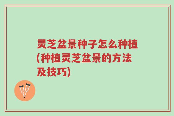 灵芝盆景种子怎么种植(种植灵芝盆景的方法及技巧)-第1张图片-超越 灵芝盆景种子怎么种植(种植灵芝盆景的方法及技巧)-第1张图片-超越