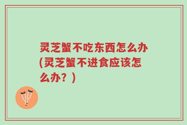 灵芝蟹不吃东西怎么办(灵芝蟹不进食应该怎么办?)-第1张图片-超越 灵芝蟹不吃东西怎么办(灵芝蟹不进食应该怎么办?)-第1张图片-超越
