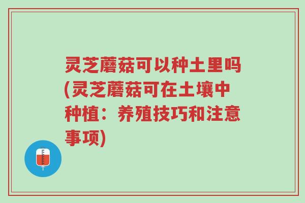 灵芝蘑菇可以种土里吗(灵芝蘑菇可在土壤中种植:养殖技巧和注意事项)-第1张图片-超越 灵芝蘑菇可以种土里吗(灵芝蘑菇可在土壤中种植:养殖技巧和注意事项)-第1张图片-超越
