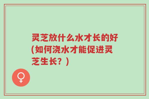 灵芝放什么水才长的好(如何浇水才能促进灵芝生长？)-第1张图片-超越