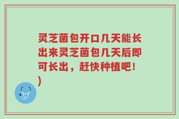 灵芝菌包开口几天能长出来灵芝菌包几天后即可长出,赶快种植吧!)-第1张图片-超越 灵芝菌包开口几天能长出来灵芝菌包几天后即可长出,赶快种植吧!)-第1张图片-超越