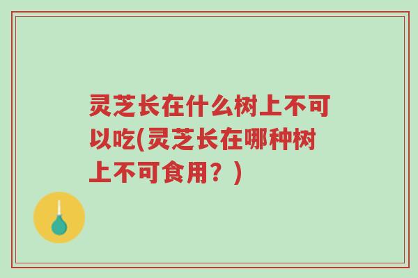 灵芝长在什么树上不可以吃(灵芝长在哪种树上不可食用?)-第1张图片-超越 灵芝长在什么树上不可以吃(灵芝长在哪种树上不可食用?)-第1张图片-超越