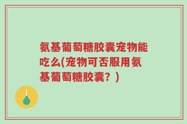 氨基葡萄糖胶囊宠物能吃么(宠物可否服用氨基葡萄糖胶囊?)-第1张图片-超越 氨基葡萄糖胶囊宠物能吃么(宠物可否服用氨基葡萄糖胶囊?)-第1张图片-超越
