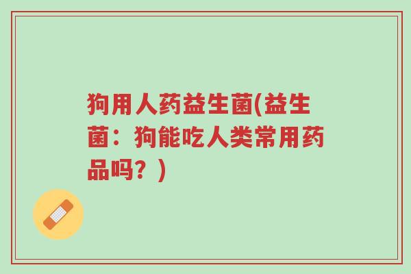 狗用人药益生菌(益生菌：狗能吃人类常用药品吗？)-第1张图片-超越