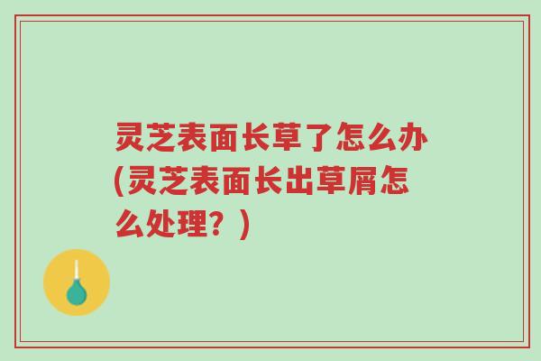 灵芝表面长草了怎么办(灵芝表面长出草屑怎么处理?)-第1张图片-超越 灵芝表面长草了怎么办(灵芝表面长出草屑怎么处理?)-第1张图片-超越