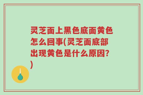 灵芝面上黑色底面黄色怎么回事(灵芝面底部出现黄色是什么原因?)-第1张图片-超越 灵芝面上黑色底面黄色怎么回事(灵芝面底部出现黄色是什么原因?)-第1张图片-超越
