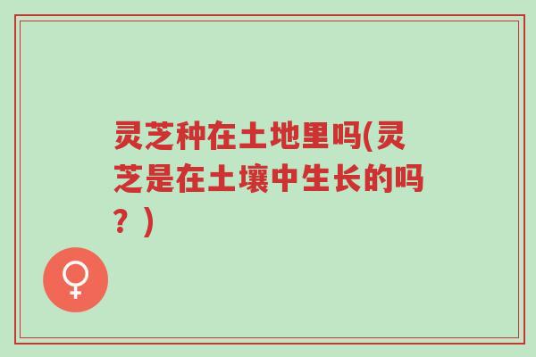 灵芝种在土地里吗(灵芝是在土壤中生长的吗?)-第1张图片-超越 灵芝种在土地里吗(灵芝是在土壤中生长的吗?)-第1张图片-超越