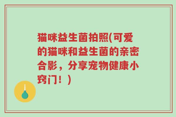 猫咪益生菌拍照(可爱的猫咪和益生菌的亲密合影,分享宠物健康小窍门!)-第1张图片-超越 猫咪益生菌拍照(可爱的猫咪和益生菌的亲密合影,分享宠物健康小窍门!)-第1张图片-超越