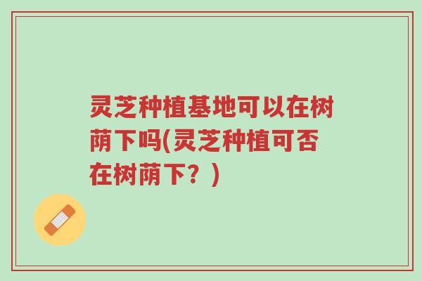 灵芝种植基地可以在树荫下吗(灵芝种植可否在树荫下?)-第1张图片-超越 灵芝种植基地可以在树荫下吗(灵芝种植可否在树荫下?)-第1张图片-超越