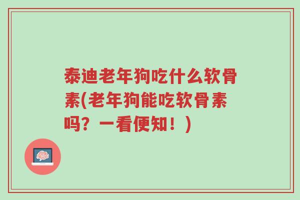 泰迪老年狗吃什么软骨素(老年狗能吃软骨素吗？一看便知！)-第1张图片-超越