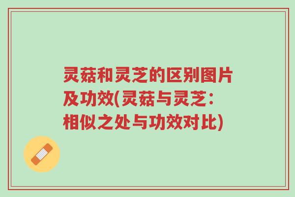 灵菇和灵芝的区别图片及功效(灵菇与灵芝:相似之处与功效对比)-第1张图片-超越 灵菇和灵芝的区别图片及功效(灵菇与灵芝:相似之处与功效对比)-第1张图片-超越