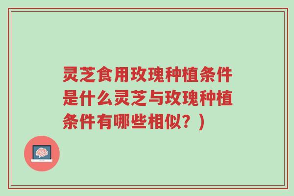 灵芝食用玫瑰种植条件是什么灵芝与玫瑰种植条件有哪些相似？)-第1张图片-超越