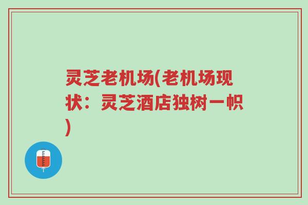 灵芝老机场(老机场现状:灵芝酒店独树一帜)-第1张图片-超越 灵芝老机场(老机场现状:灵芝酒店独树一帜)-第1张图片-超越