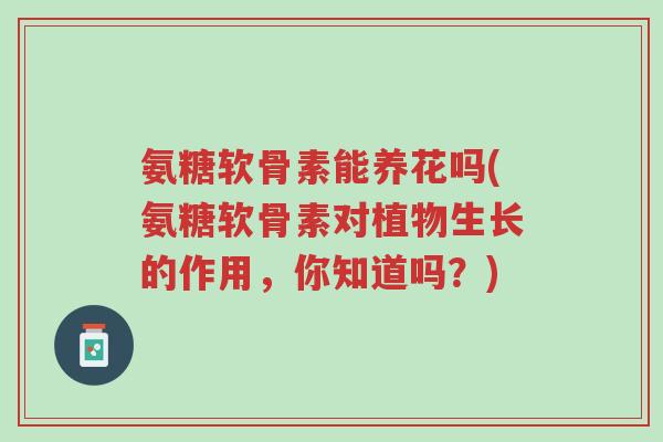 氨糖软骨素能养花吗(氨糖软骨素对植物生长的作用,你知道吗?)-第1张图片-超越 氨糖软骨素能养花吗(氨糖软骨素对植物生长的作用,你知道吗?)-第1张图片-超越