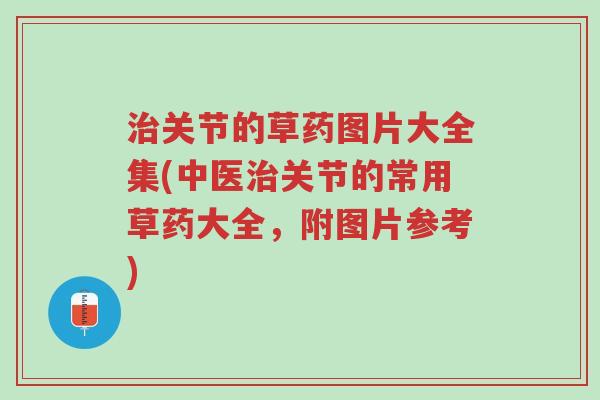 治关节的草药图片大全集(中医治关节的常用草药大全，附图片参考)-第1张图片-超越