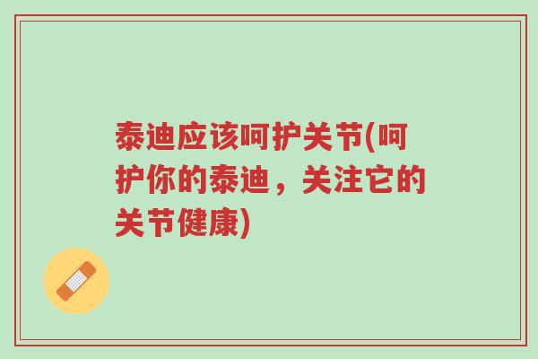 泰迪应该呵护关节(呵护你的泰迪，关注它的关节健康)-第1张图片-超越