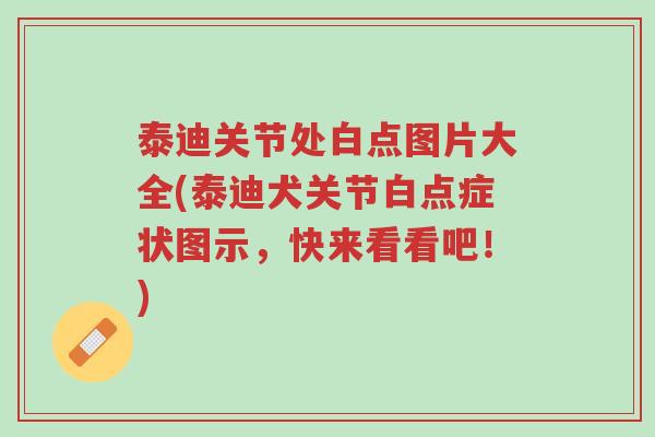 泰迪关节处白点图片大全(泰迪犬关节白点症状图示,快来看看吧!)-第1张图片-超越 泰迪关节处白点图片大全(泰迪犬关节白点症状图示,快来看看吧!)-第1张图片-超越
