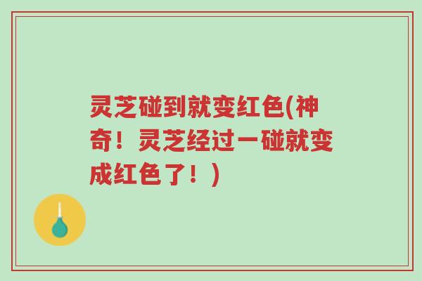 灵芝碰到就变红色(神奇!灵芝经过一碰就变成红色了!)-第1张图片-超越 灵芝碰到就变红色(神奇!灵芝经过一碰就变成红色了!)-第1张图片-超越