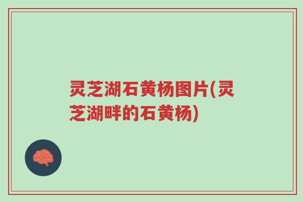 灵芝湖石黄杨图片(灵芝湖畔的石黄杨)-第1张图片-超越 灵芝湖石黄杨图片(灵芝湖畔的石黄杨)-第1张图片-超越