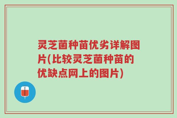 灵芝菌种苗优劣详解图片(比较灵芝菌种苗的优缺点网上的图片)-第1张图片-超越 灵芝菌种苗优劣详解图片(比较灵芝菌种苗的优缺点网上的图片)-第1张图片-超越