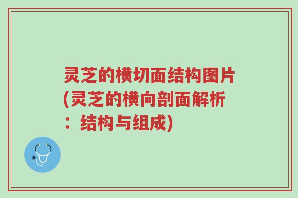 灵芝的横切面结构图片(灵芝的横向剖面解析:结构与组成)-第1张图片-超越 灵芝的横切面结构图片(灵芝的横向剖面解析:结构与组成)-第1张图片-超越