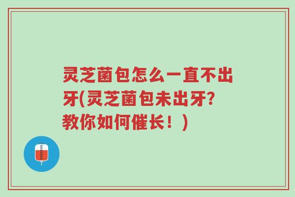 灵芝菌包怎么一直不出牙(灵芝菌包未出牙？教你如何催长！)-第1张图片-超越