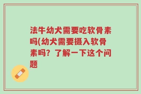 法牛幼犬需要吃软骨素吗(幼犬需要摄入软骨素吗?了解一下这个问题-第1张图片-超越 法牛幼犬需要吃软骨素吗(幼犬需要摄入软骨素吗?了解一下这个问题-第1张图片-超越
