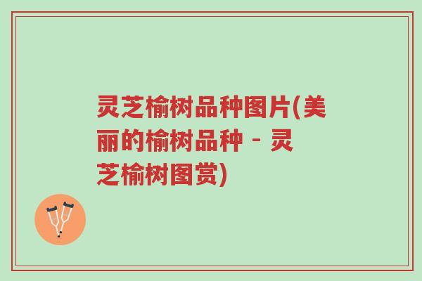 灵芝榆树品种图片(美丽的榆树品种 - 灵芝榆树图赏)-第1张图片-超越 灵芝榆树品种图片(美丽的榆树品种 - 灵芝榆树图赏)-第1张图片-超越