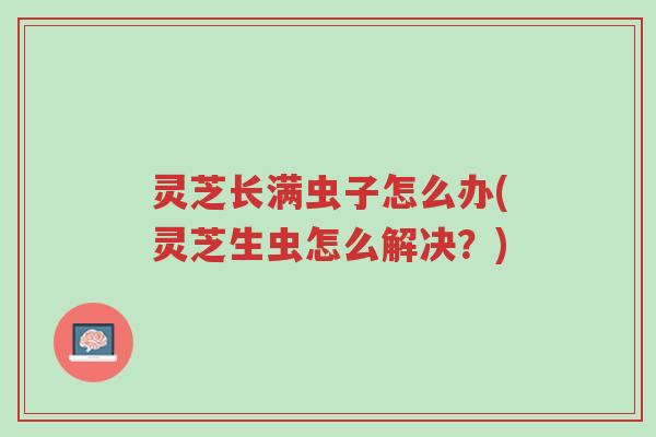 灵芝长满虫子怎么办(灵芝生虫怎么解决?)-第1张图片-超越 灵芝长满虫子怎么办(灵芝生虫怎么解决?)-第1张图片-超越