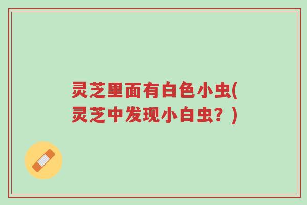 灵芝里面有白色小虫(灵芝中发现小白虫?)-第1张图片-超越 灵芝里面有白色小虫(灵芝中发现小白虫?)-第1张图片-超越