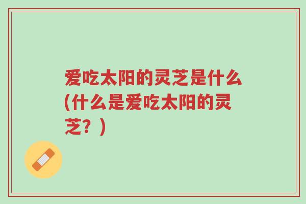 爱吃太阳的灵芝是什么(什么是爱吃太阳的灵芝?)-第1张图片-超越 爱吃太阳的灵芝是什么(什么是爱吃太阳的灵芝?)-第1张图片-超越