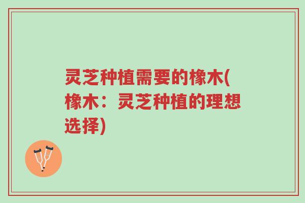灵芝种植需要的橡木(橡木:灵芝种植的理想选择)-第1张图片-超越 灵芝种植需要的橡木(橡木:灵芝种植的理想选择)-第1张图片-超越