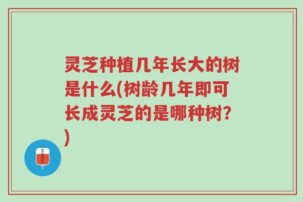 灵芝种植几年长大的树是什么(树龄几年即可长成灵芝的是哪种树?)-第1张图片-超越 灵芝种植几年长大的树是什么(树龄几年即可长成灵芝的是哪种树?)-第1张图片-超越