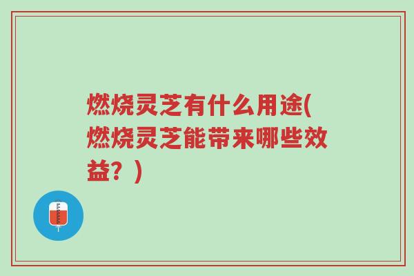 燃烧灵芝有什么用途(燃烧灵芝能带来哪些效益?)-第1张图片-超越 燃烧灵芝有什么用途(燃烧灵芝能带来哪些效益?)-第1张图片-超越