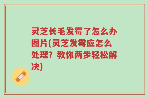 灵芝长毛发霉了怎么办图片(灵芝发霉应怎么处理?教你两步轻松解决)-第1张图片-超越 灵芝长毛发霉了怎么办图片(灵芝发霉应怎么处理?教你两步轻松解决)-第1张图片-超越