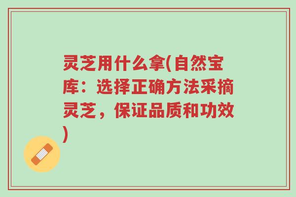 灵芝用什么拿(自然宝库:选择正确方法采摘灵芝,保证品质和功效)-第1张图片-超越 灵芝用什么拿(自然宝库:选择正确方法采摘灵芝,保证品质和功效)-第1张图片-超越