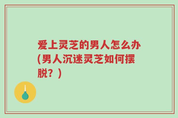 爱上灵芝的男人怎么办(男人沉迷灵芝如何摆脱?)-第1张图片-超越 爱上灵芝的男人怎么办(男人沉迷灵芝如何摆脱?)-第1张图片-超越