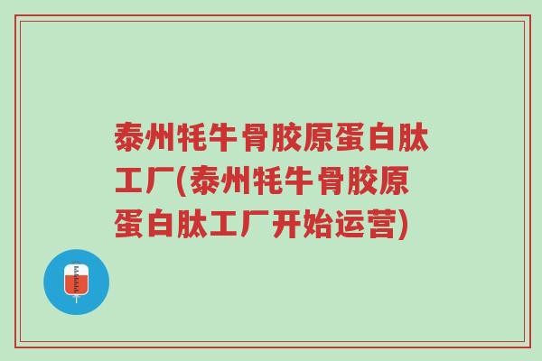 泰州牦牛骨胶原蛋白肽工厂(泰州牦牛骨胶原蛋白肽工厂开始运营)-第1张图片-超越 泰州牦牛骨胶原蛋白肽工厂(泰州牦牛骨胶原蛋白肽工厂开始运营)-第1张图片-超越