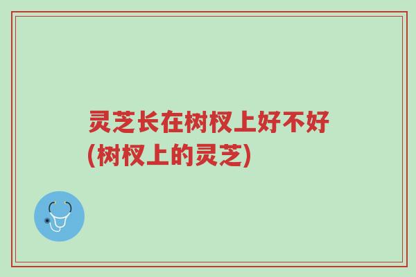 灵芝长在树杈上好不好(树杈上的灵芝)-第1张图片-超越 灵芝长在树杈上好不好(树杈上的灵芝)-第1张图片-超越