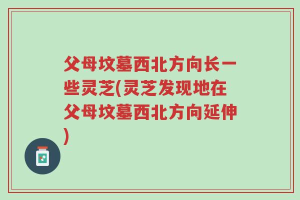 父母坟墓西北方向长一些灵芝(灵芝发现地在父母坟墓西北方向延伸)-第1张图片-超越 父母坟墓西北方向长一些灵芝(灵芝发现地在父母坟墓西北方向延伸)-第1张图片-超越