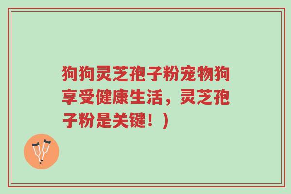 狗狗灵芝孢子粉宠物狗享受健康生活,灵芝孢子粉是关键!)-第1张图片-超越 狗狗灵芝孢子粉宠物狗享受健康生活,灵芝孢子粉是关键!)-第1张图片-超越