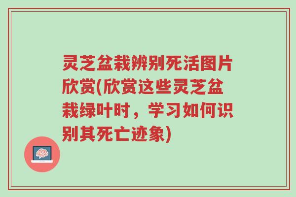 灵芝盆栽辨别死活图片欣赏(欣赏这些灵芝盆栽绿叶时，学习如何识别其死亡迹象)-第1张图片-超越